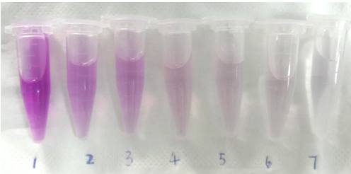 枸杞中二氧化硫能用水清洗掉吗,枸杞二氧化硫怎么去除