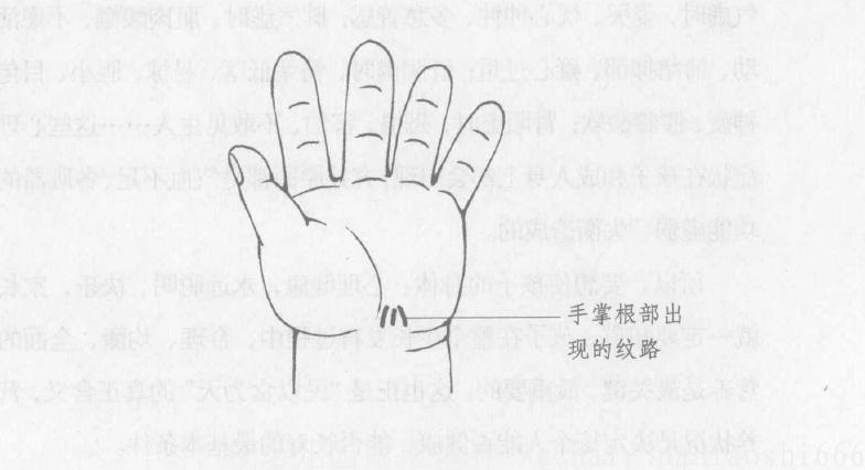 父母健康怎么在孩子手纹上看,从父母的手相能不能看出孩子命格
