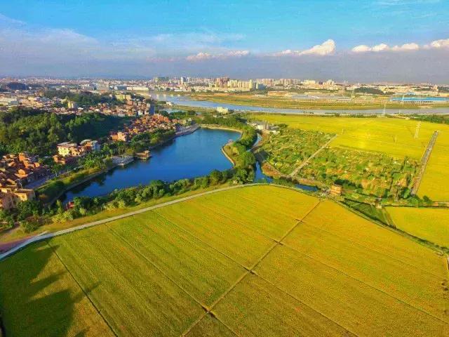 从粤a来到粤b的城市,从粤a到粤z都是哪些城市