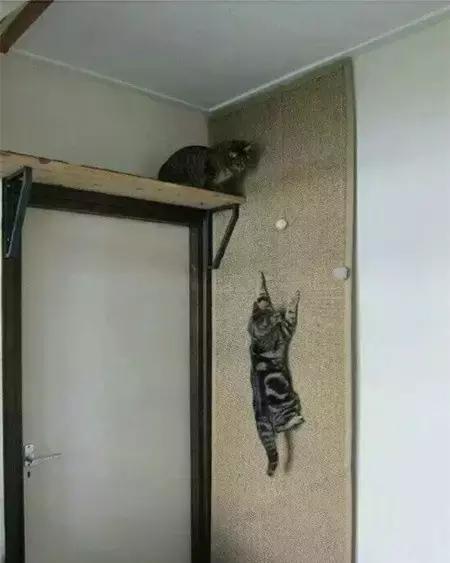 如何判定是优秀狗狗铲屎官,什么级别的铲屎官