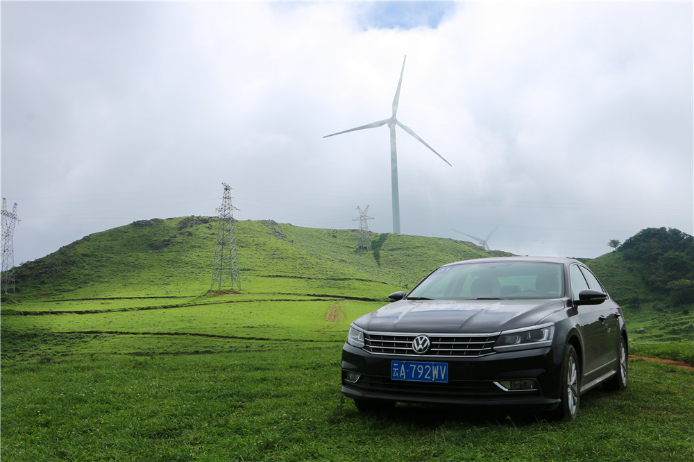 *萨特帕**一场与荷花无法拒绝的浪漫之旅