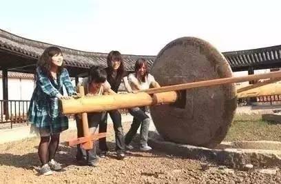 休闲农业可以开发哪些创意,休闲农业学什么课程