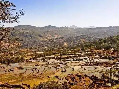 休闲农业可以开发哪些创意,休闲农业学什么课程