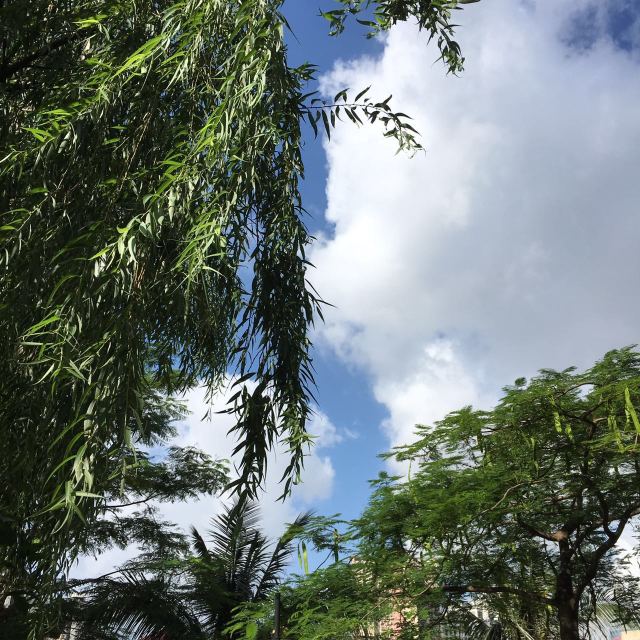 始终护住你的孩子气,总有人还愿意守护你的孩子气