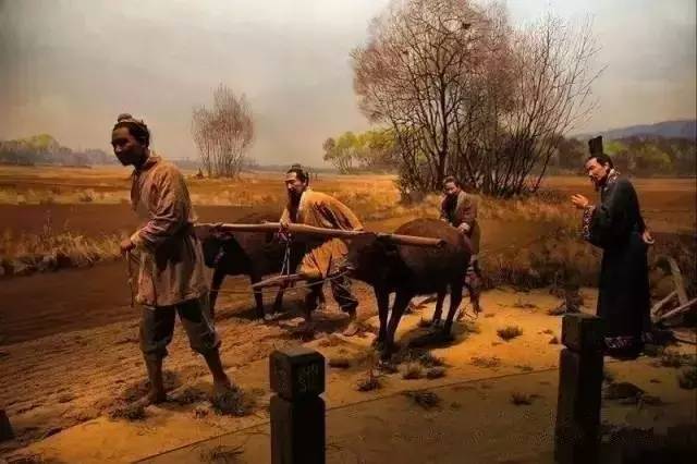 休闲农业可以开发哪些创意,休闲农业学什么课程