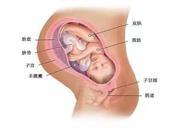 孕39周头围标准,孕39周还没动静