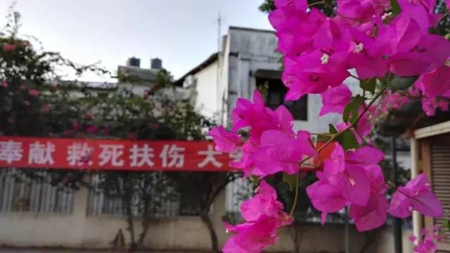 万里之外的桑给巴尔，有这么一群无锡的“白衣天使”