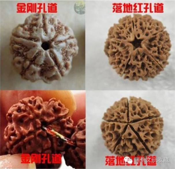 新手必须知道的东西,新手必学的药品知识