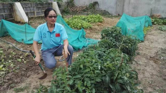 万里之外的桑给巴尔，有这么一群无锡的“白衣天使”