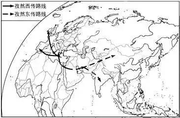 内蒙人应该知道的知识,孜然都有哪些秘密