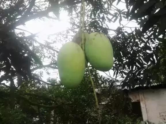 东海人在非洲务工那些不为人知的故事