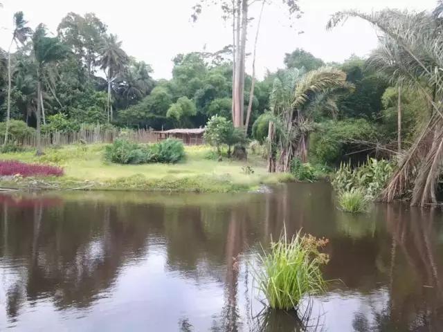 东海人在非洲务工那些不为人知的故事