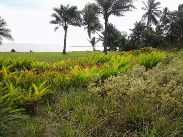 东海人在非洲务工那些不为人知的故事