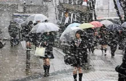 冻成狗怎么取暖,冻成狗怎么降温