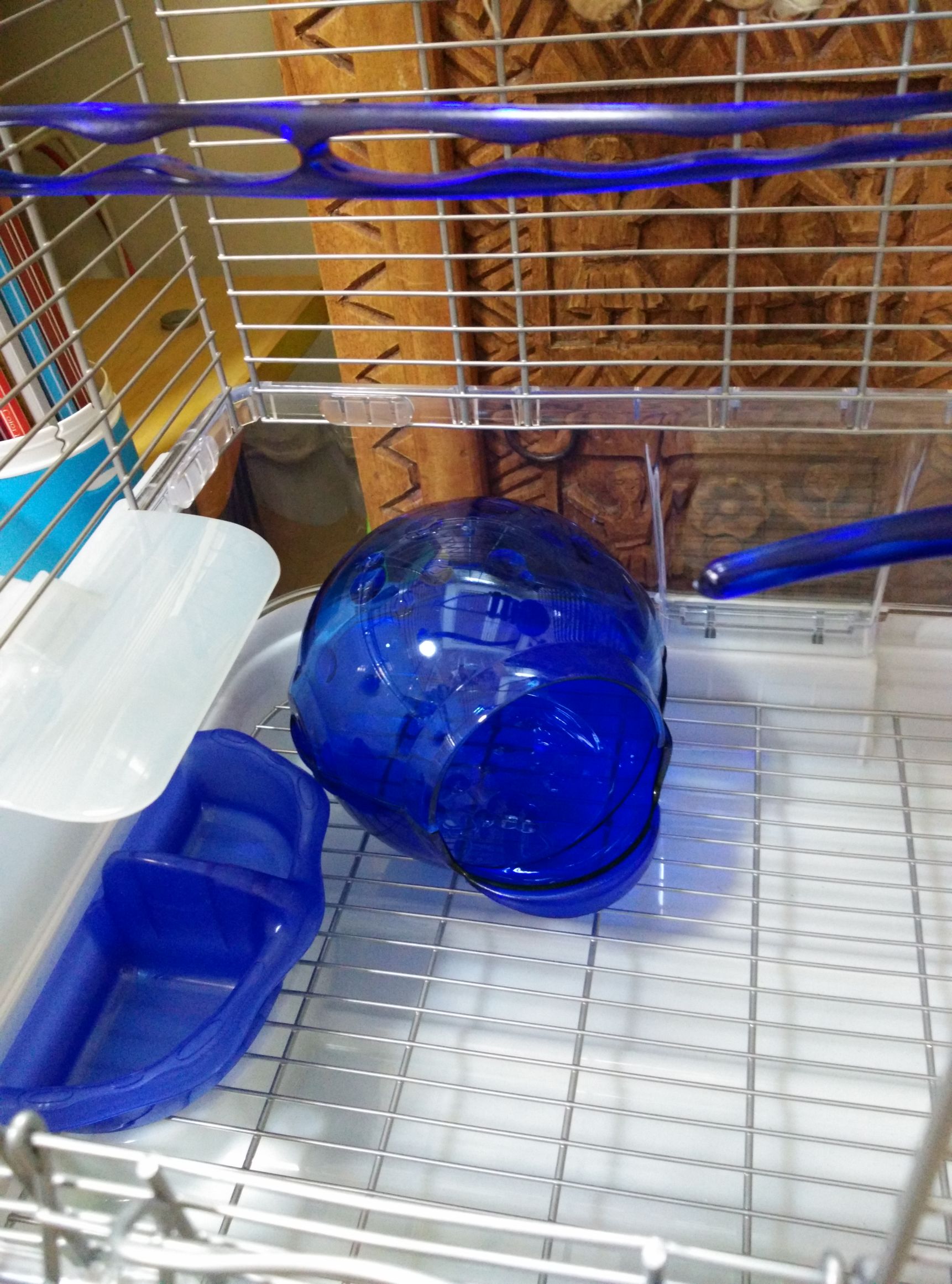 哈根笼子设计,鹦鹉笼设计图