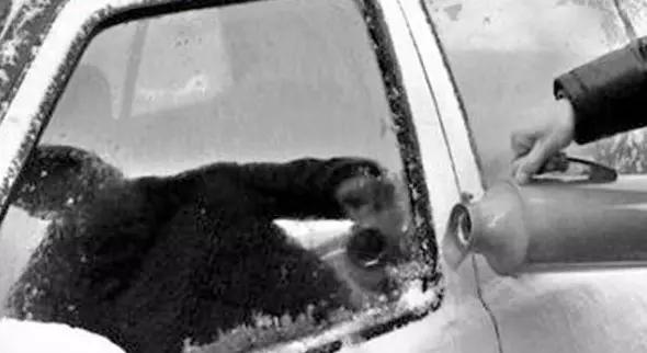 冰冻灾害防冻伤应急处置方法,冰冻结冰严重