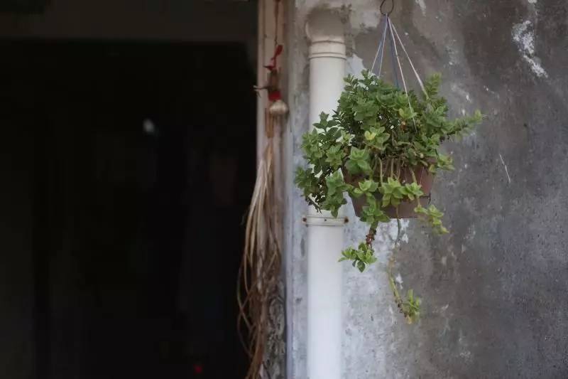 悬桥巷|顾颉刚与叶圣陶童年嬉戏的巷子里，藏着悠悠历史