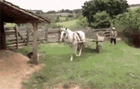 移动公司老总遭到巫婆诅咒，一个月只能说一个字。