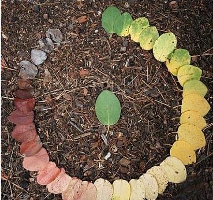 国医·养生《黄帝内经》之中的生命周期