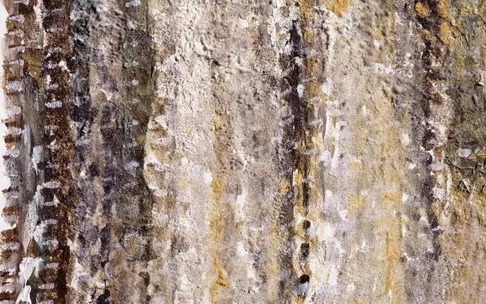 油画颜料性能分析,油画颜料最常用的有哪几种色