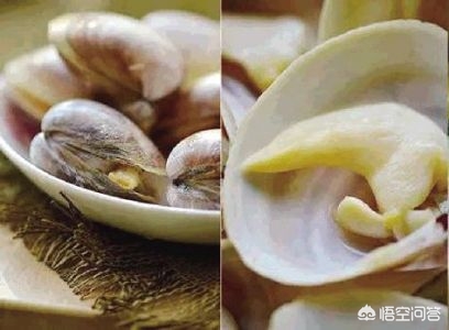 让唐玄宗吃了都念念不忘的菜肴：西施舌，正确做法