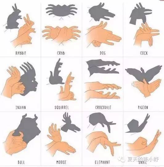 吃饱睡足做什么？告别干瞪眼，7项宝宝最爱的开智运动玩起来！|新父母学堂