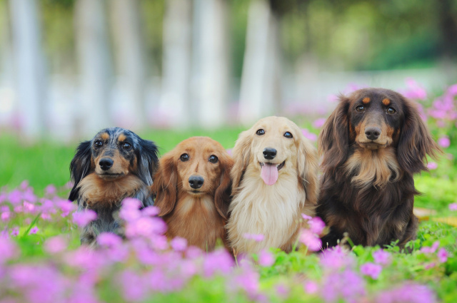 showtime剧情介绍,showtime剧情讲解