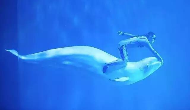 辽宁景点门票,辽宁省景点大全一览表