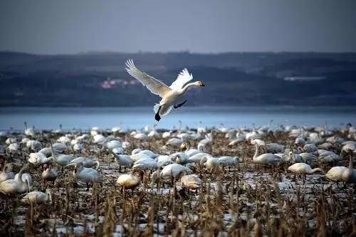 辽宁景点门票,辽宁省景点大全一览表