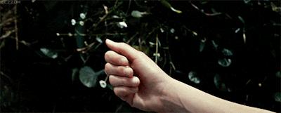 掌握正确施肥方法,如何正确操作施肥