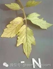 掌握正确施肥方法,如何正确操作施肥