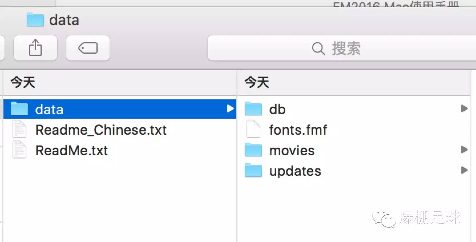 macfm2016,fm2016游戏必备插件包
