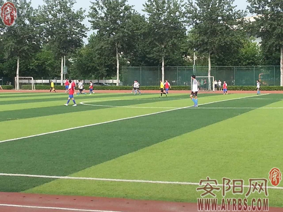 2020河南豫冠联赛,豫冠联赛周口赛区