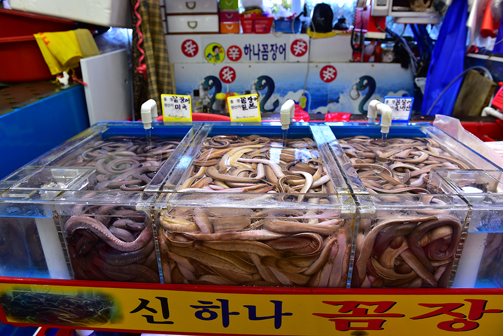 在淘宝上能买到正品的韩国货吗,在韩国电商卖什么畅销