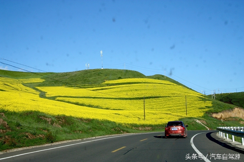 洛克之路卓尼段是从哪到哪,洛克之路路过卓尼县吗