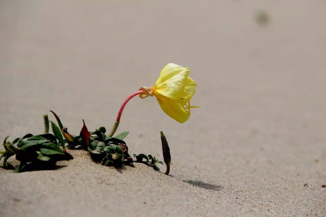 路虎揽胜漳州,揽胜海洋之心