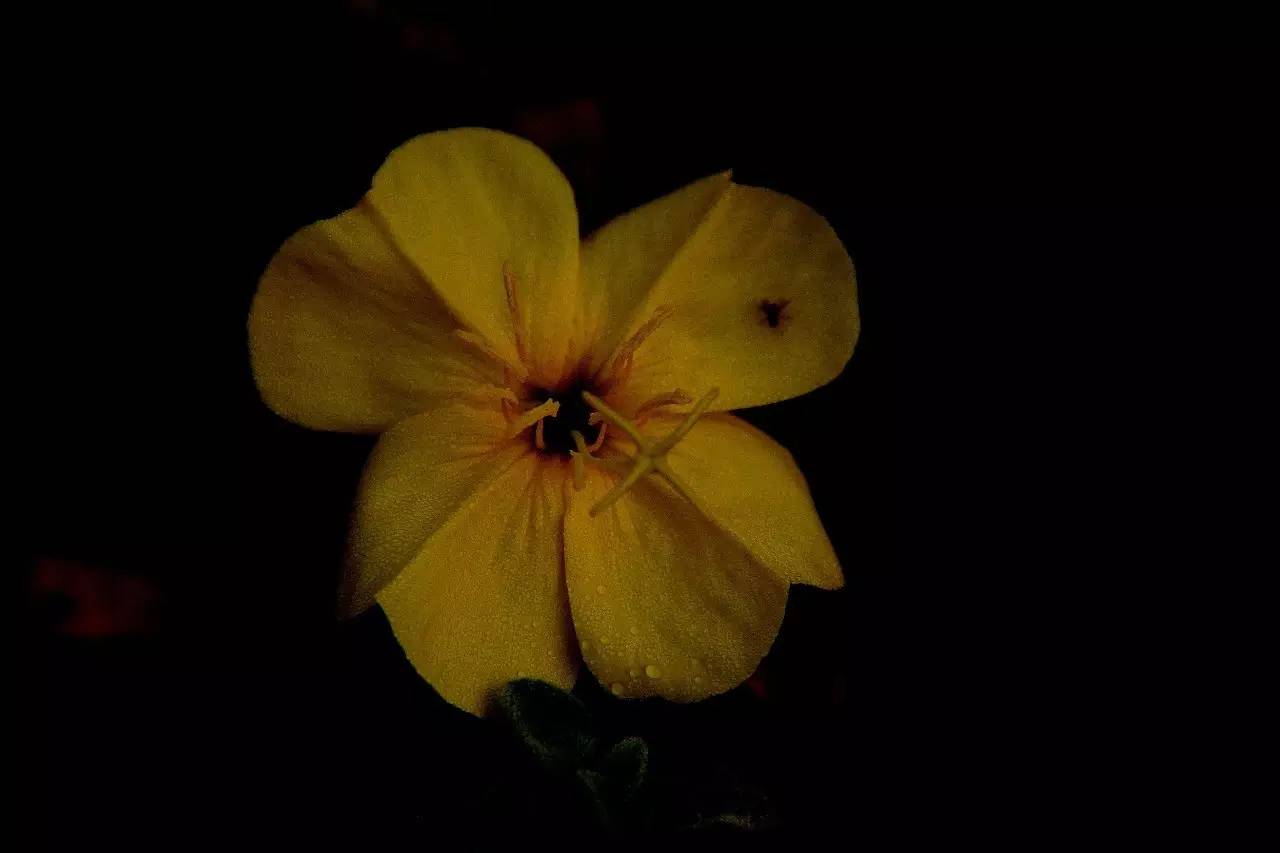 路虎揽胜漳州,揽胜海洋之心