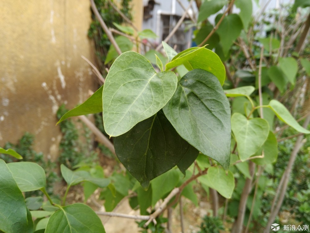 比红米note3好的千元机,比红米还具性价比的手机