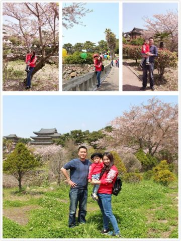 韩国济州岛带娃旅游攻略,首尔和济州岛哪个适合亲子游