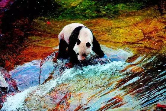 宝鸡周边“*战野**”圣地！周末带上帐篷去山里搞点大动作吧！