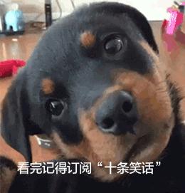 老婆十大经典笑话,讲个让老婆忍俊不禁的笑话