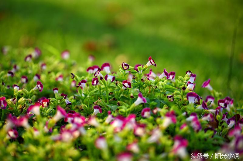 女人了解女人是什么意思,女人是怎么了解男人的