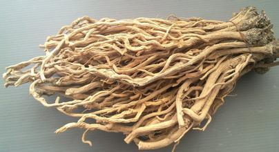 专治鸽病特效方,治鸽病最好的土方