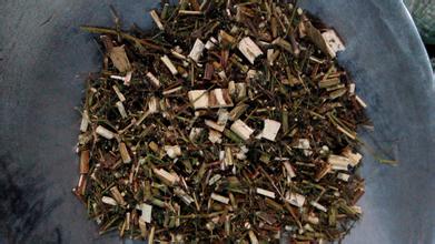 专治鸽病特效方,治鸽病最好的土方