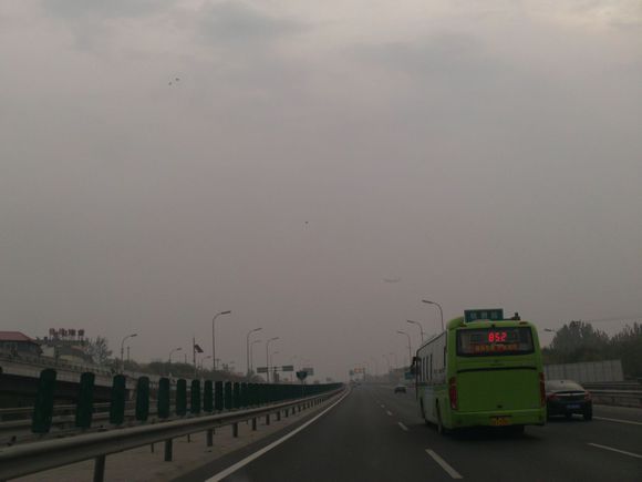 “射鸡”历险记打鸡血然后。