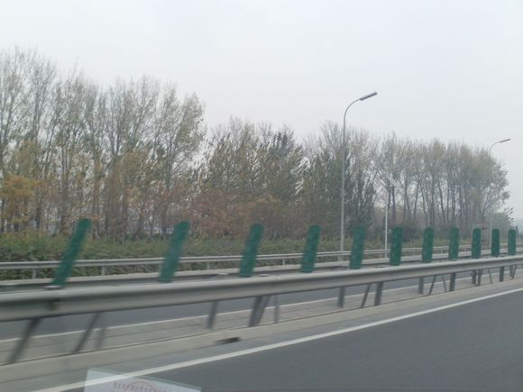 “射鸡”历险记打鸡血然后。