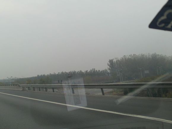 “射鸡”历险记打鸡血然后。