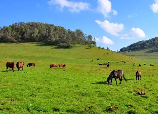 宝鸡周边“*战野**”圣地！周末带上帐篷去山里搞点大动作吧！