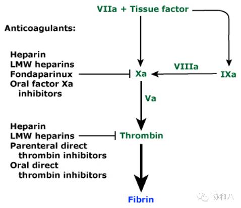 是救命仙丹，还是夺命惊魂丨一页手册·协和八