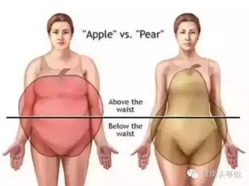 内脏脂肪高影响新陈代谢速度,内脏脂肪上升一级意味着瘦了多少